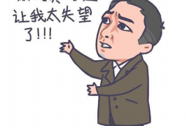 澧县企业清欠服务