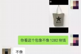 澧县企业清欠服务